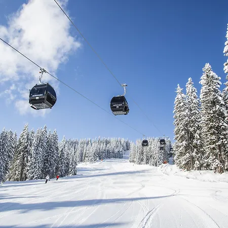 Almdorf Alpstuga Flachau