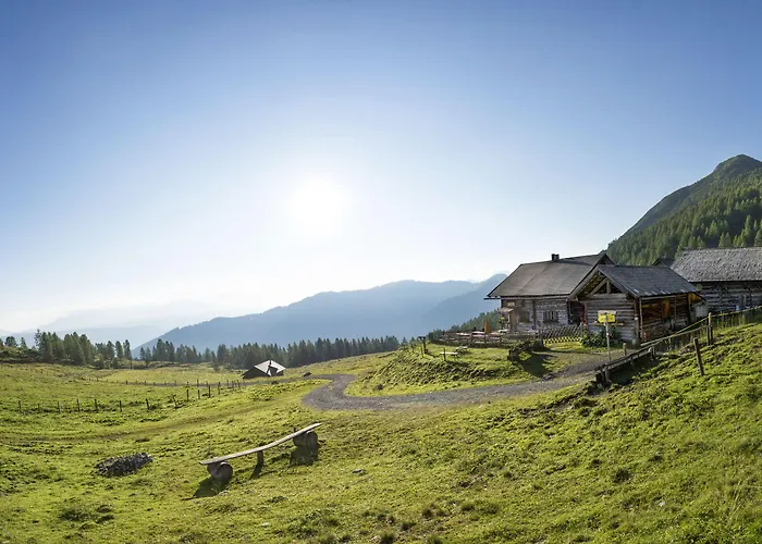 Almdorf - Luxus Huettenurlaub Flachau