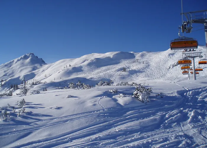 Almdorf - Luxus Huettenurlaub Domek alpejski Flachau