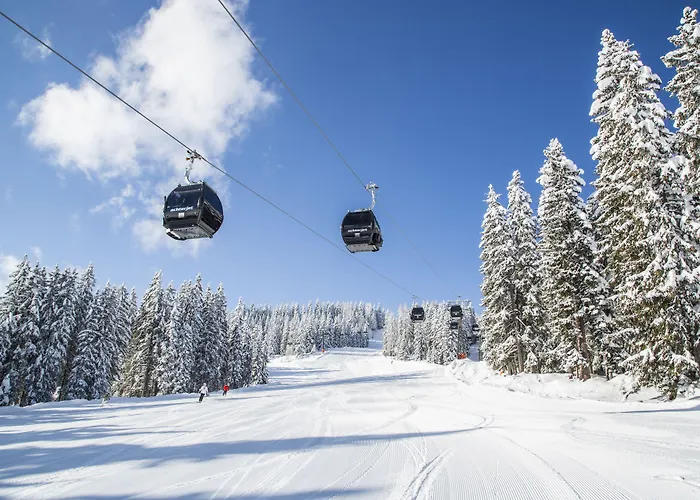 Almdorf - Luxus Huettenurlaub Domek alpejski Flachau